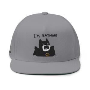 Batman Embroidered Flat Bill Cap